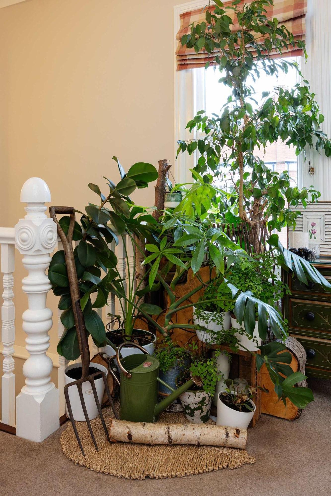 Appartamento Veeve - Forest Greens